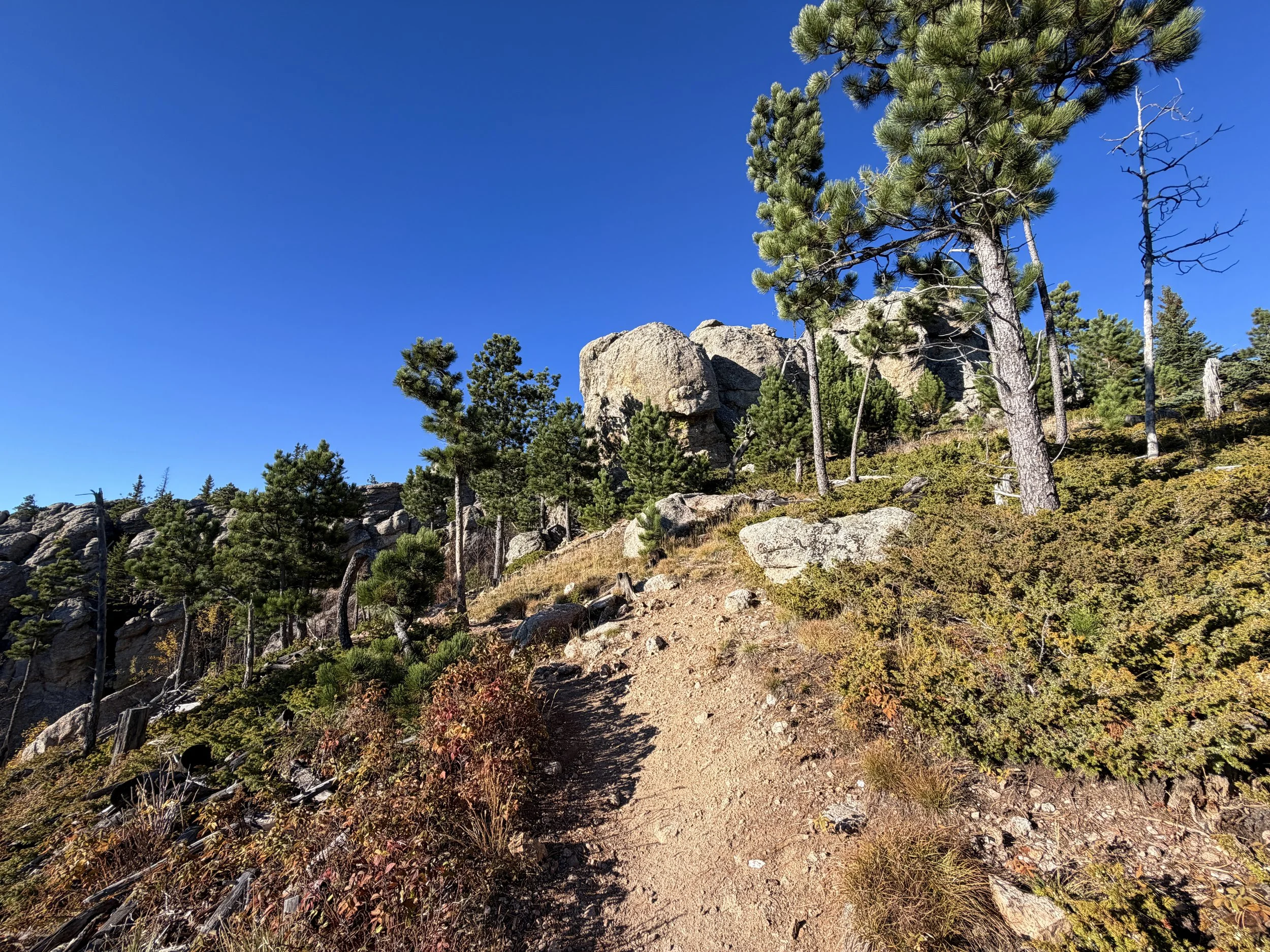 Hiking the Little Devils Tower Trail in Custer State Park in the